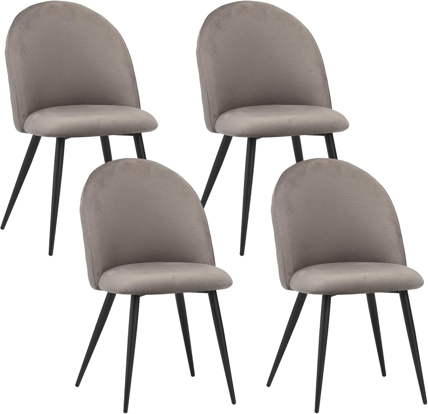 Albatros sedie da sala da pranzo CAPO con copertura in velluto, set di 4, grigio - design vintage, elegante, copertura in velluto, sedia imbottita approvata SGS - sedia da cucina moderna