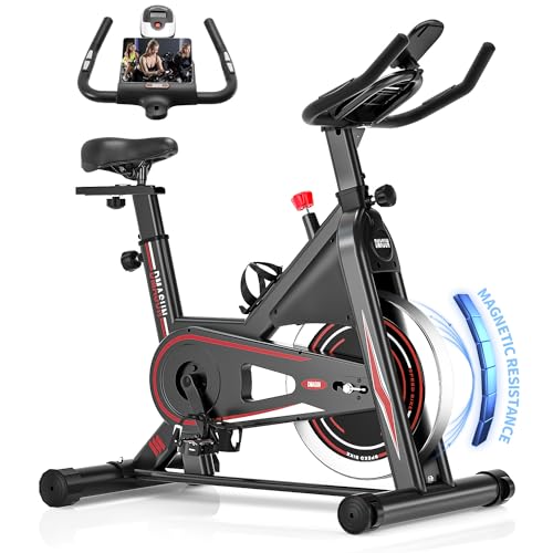 Cyclette da Casa, DMASUN Cyclette Professionali Hanno Una Resistenza Magnetica più Forte, cyclette più Silenziosa, più Confortevole e Sicurezza Stabile, Capacità 160 kg(Include Coprisella Cyclette) : Sport e tempo libero(Arancia)